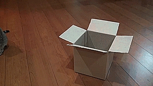 If I Fits, I Sits...And Sleeps