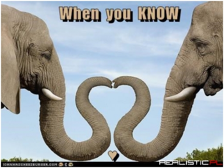 I'll Never Forget You