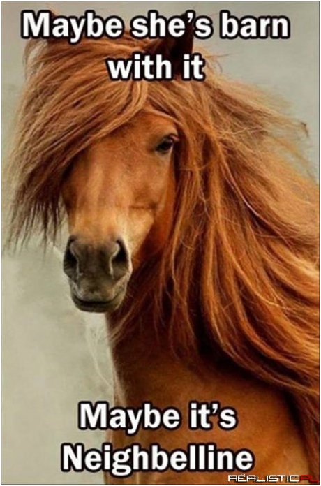 It All Started With Black Beauty