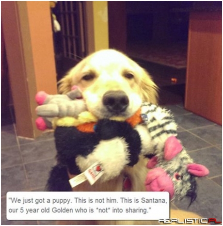 It's a Learning Process