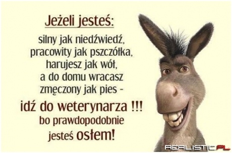 Jeżeli jesteś ....