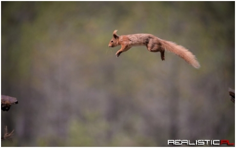 Jump