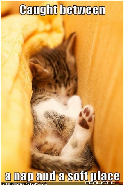 Just a Few More...Hours