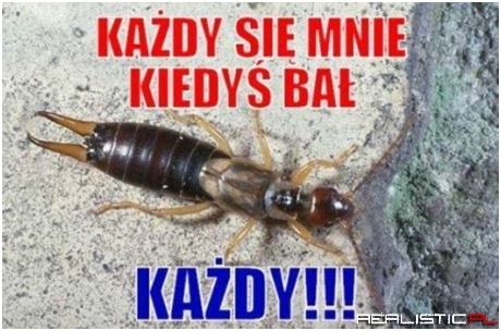 Każdy się mnie kiedyś bał