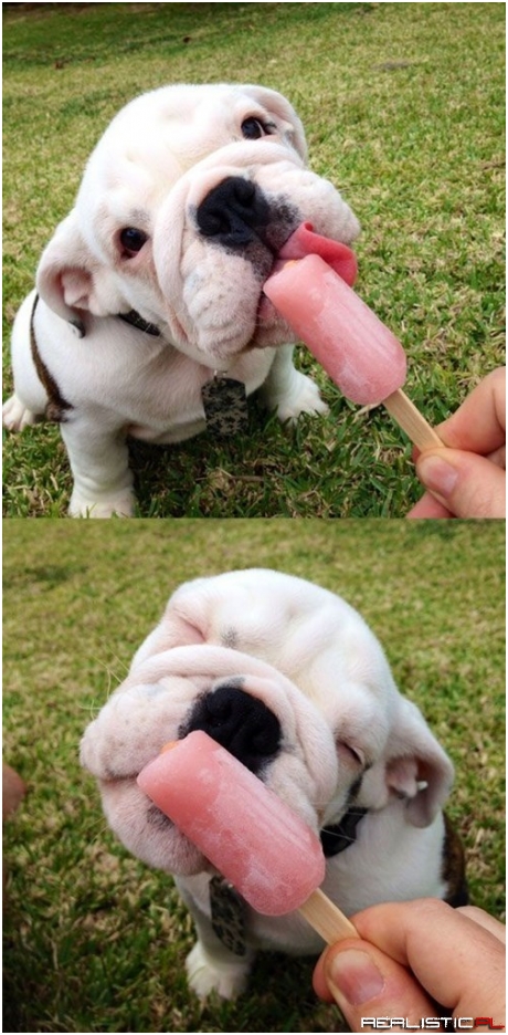 Keepin' Cool With the Cuteness