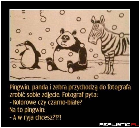 Kolorowe czy ....