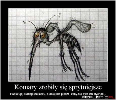 Komary ..