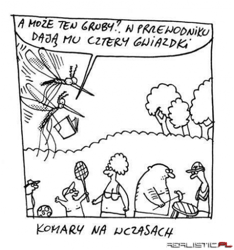 Komary na wczasach