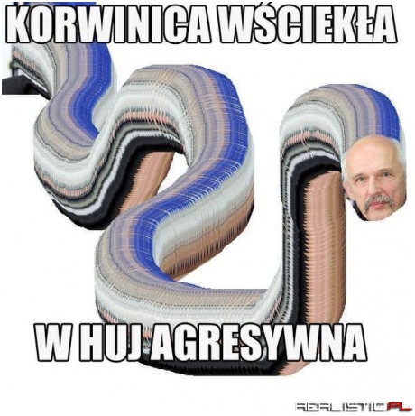 Korwinica wściekła
