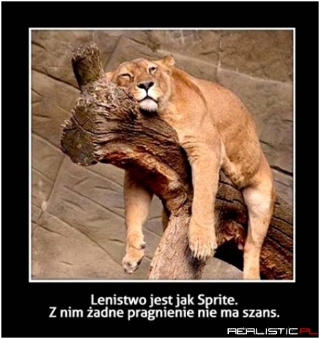 Lenistwo wciąga