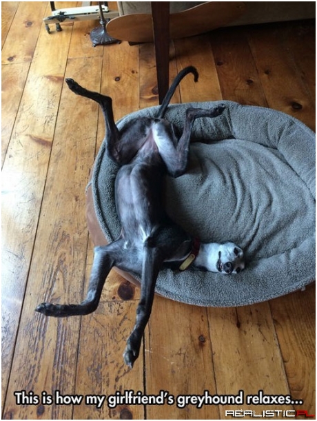 Looks Comfortable...