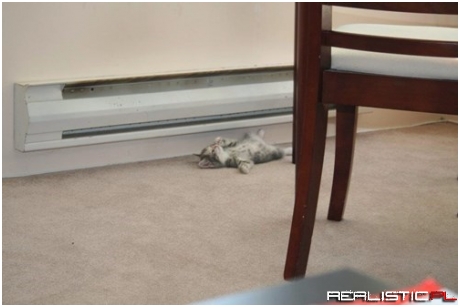 Looks Like Somebody Find the Heater