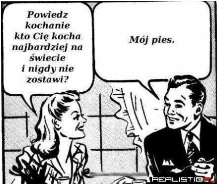 Mój pies