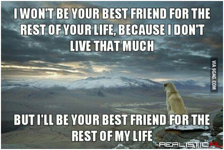 Most faithful friend