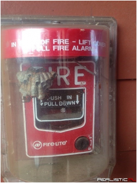 Nevermind, We're All Going to be on Fire