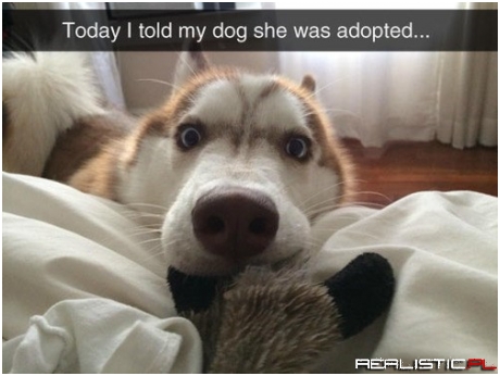 Nevermind...I Don't Play Tug-o-War With LIARS!