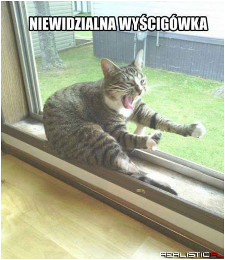 Niewidzialna wyścigówka