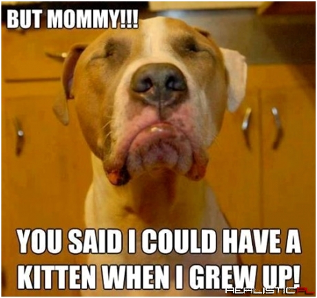 Not Until You're Two Years Old