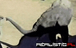 Now listen here, you little shit