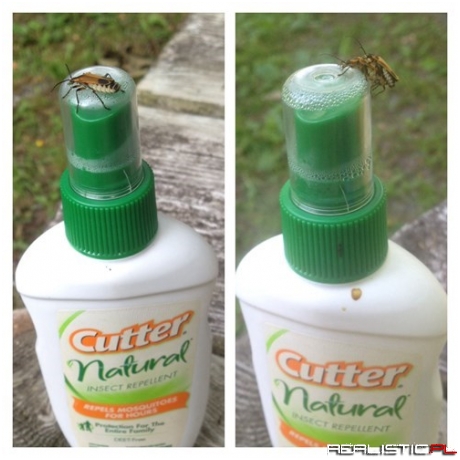 Now You're Just Mocking Us