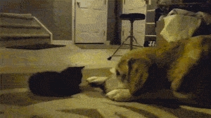 Okay, I'll Let You Win...