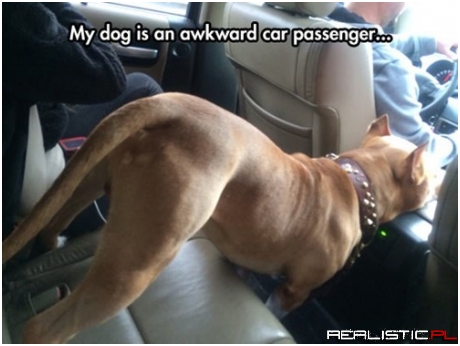 Okay, I'm Good Now...Let's Go