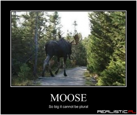 One is More Than Enough