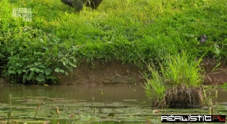 Only One Way Out of This Situation