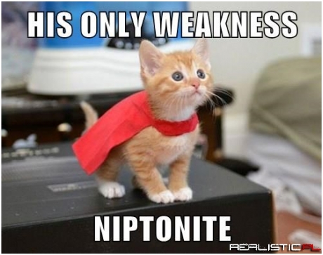 Or Any Night, for That Manner