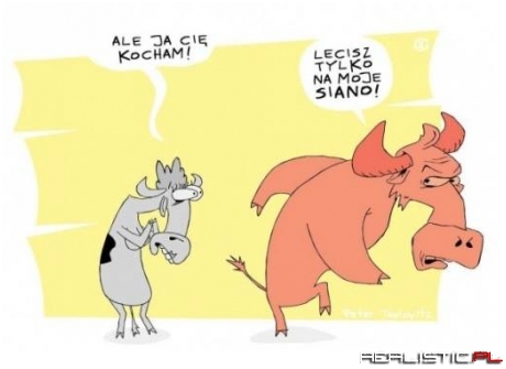 Pamiętajcie, siano nie jest w życiu najważniejsze