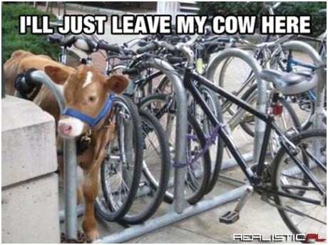 Passengers are requested to not leave their cows unattended