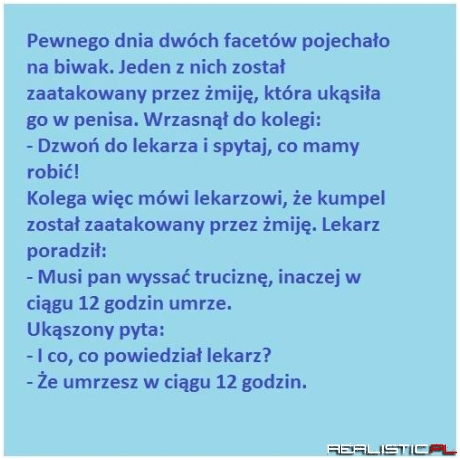 Pewnego dnia dwóch facetów .....