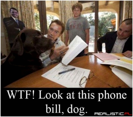 Phone bill