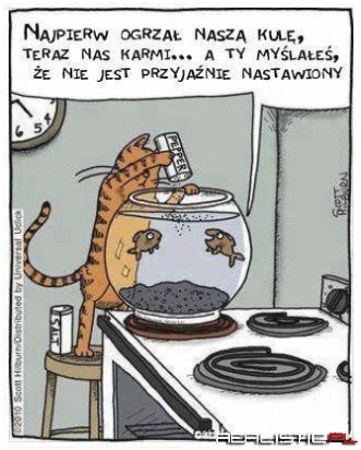 Przyjażnie nastawiony