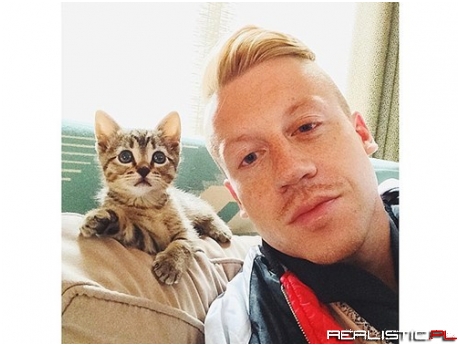 Rapper Macklemore is a Real Cat Person