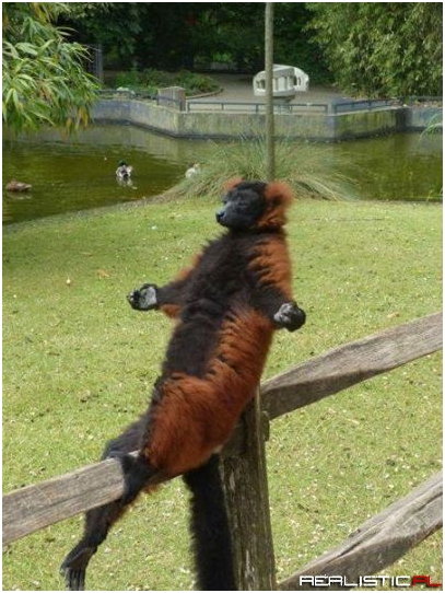 Relax