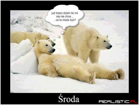 roda ....