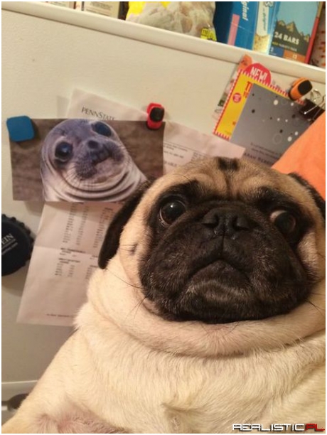 Selfie