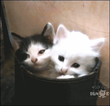 So cute
