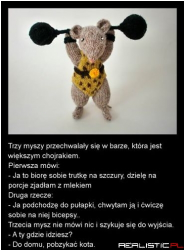 Spotykają się trzy myszy ...