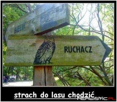 Strach ..
