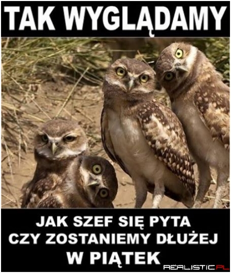 Tak wyglądamy