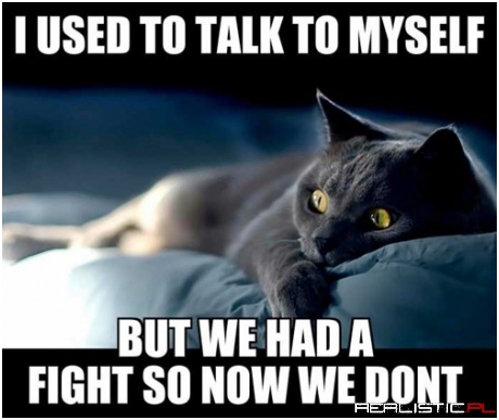 That Was One Crazy Fight