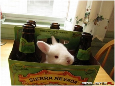 That's a Lot of Hops in Your Beer