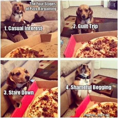 The 4 Stages of Pizza Bargaining
