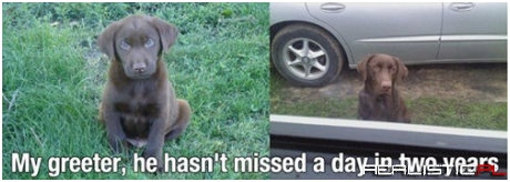 The Best Way to Come Home After a Hard Day