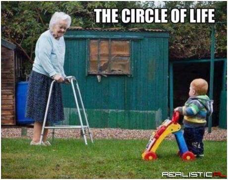The circle of life