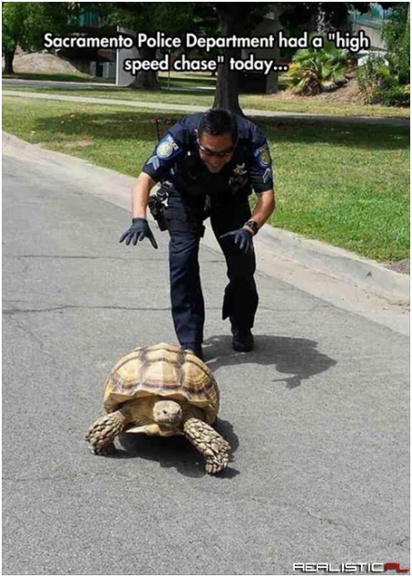 The Had a Shell of a Time Catching Up to Him