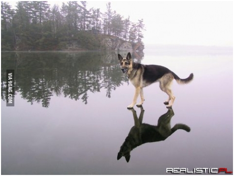 The lord is my shepherd