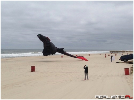 The Nicest Dragon-Kite on the Beach